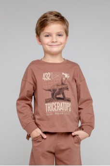КР 301860/коричневый к344 джемпер
